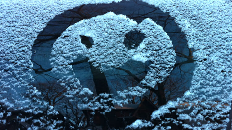 Snow on Car Window