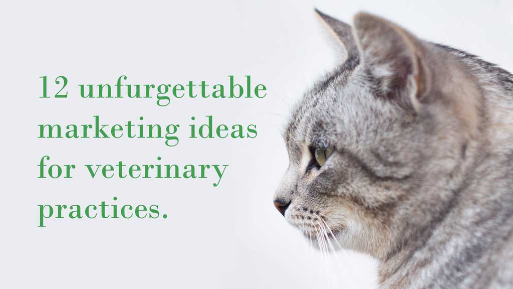 12 unfurgettable marketing ideas for veterinary practices
