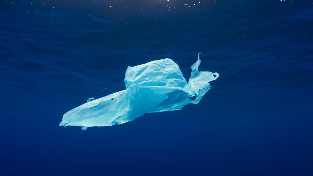 single use disposable plastic bag floating in the sea in reference to plastic pollution and International Plastic Bag Free Day