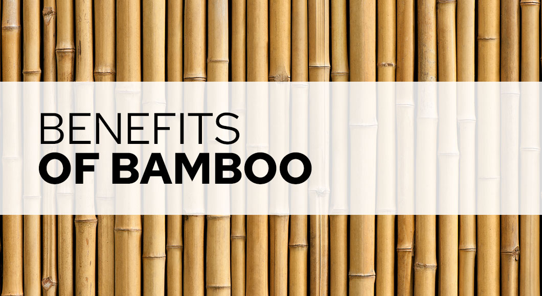 Bamboo stalks lined up vertically with benefits of bamboo title banner across