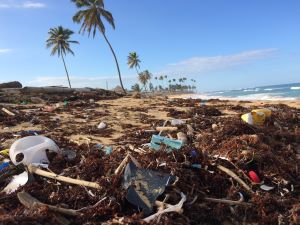 کیسه های پلاستیکی و زباله در ساحل