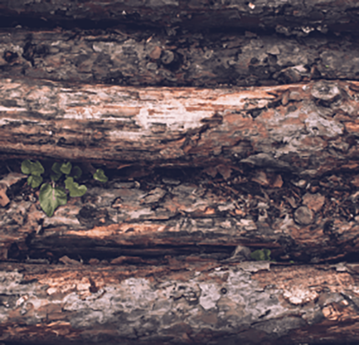 Gjenbruk av naturressurser